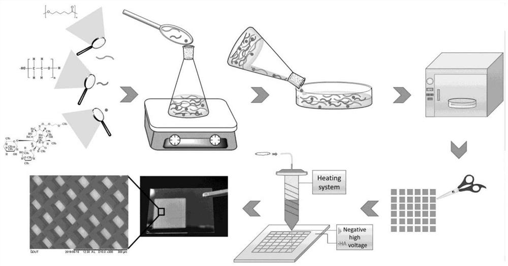 Preparation method of a melt-electrospun composite fiber scaffold for bone repair and anti-infection