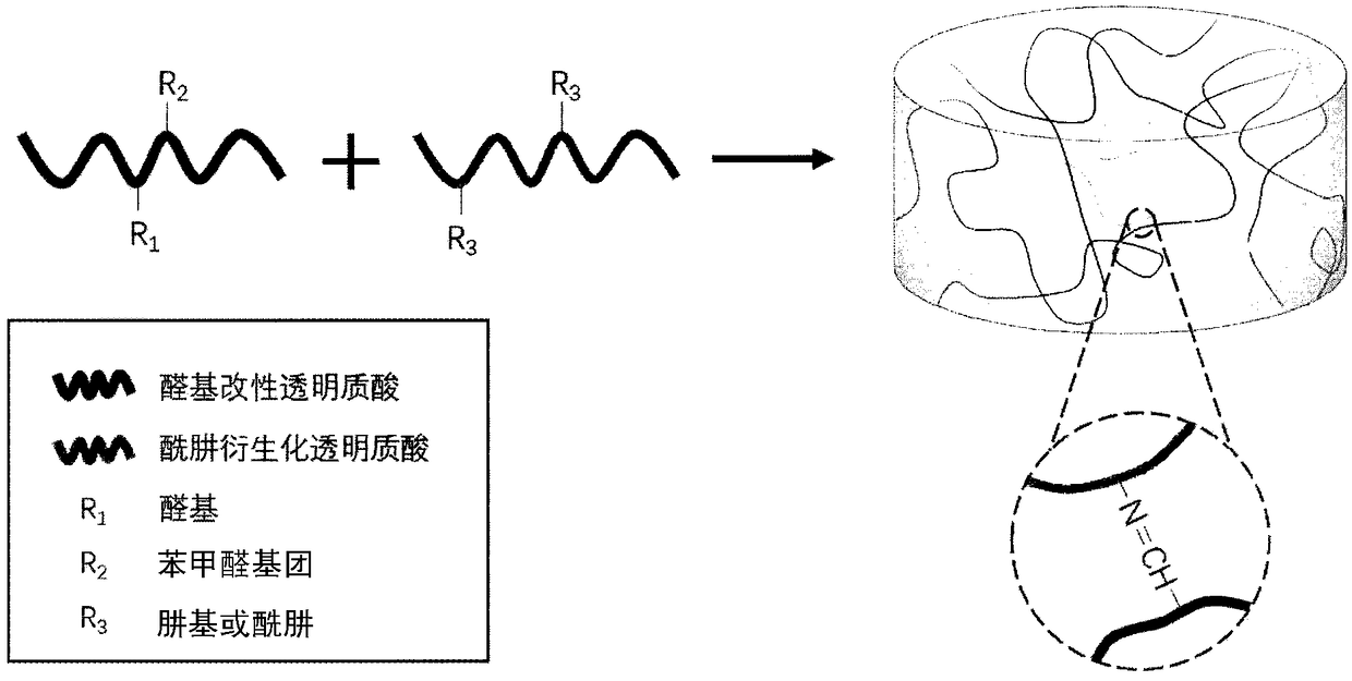 Hydrogel compound, preparation method and application