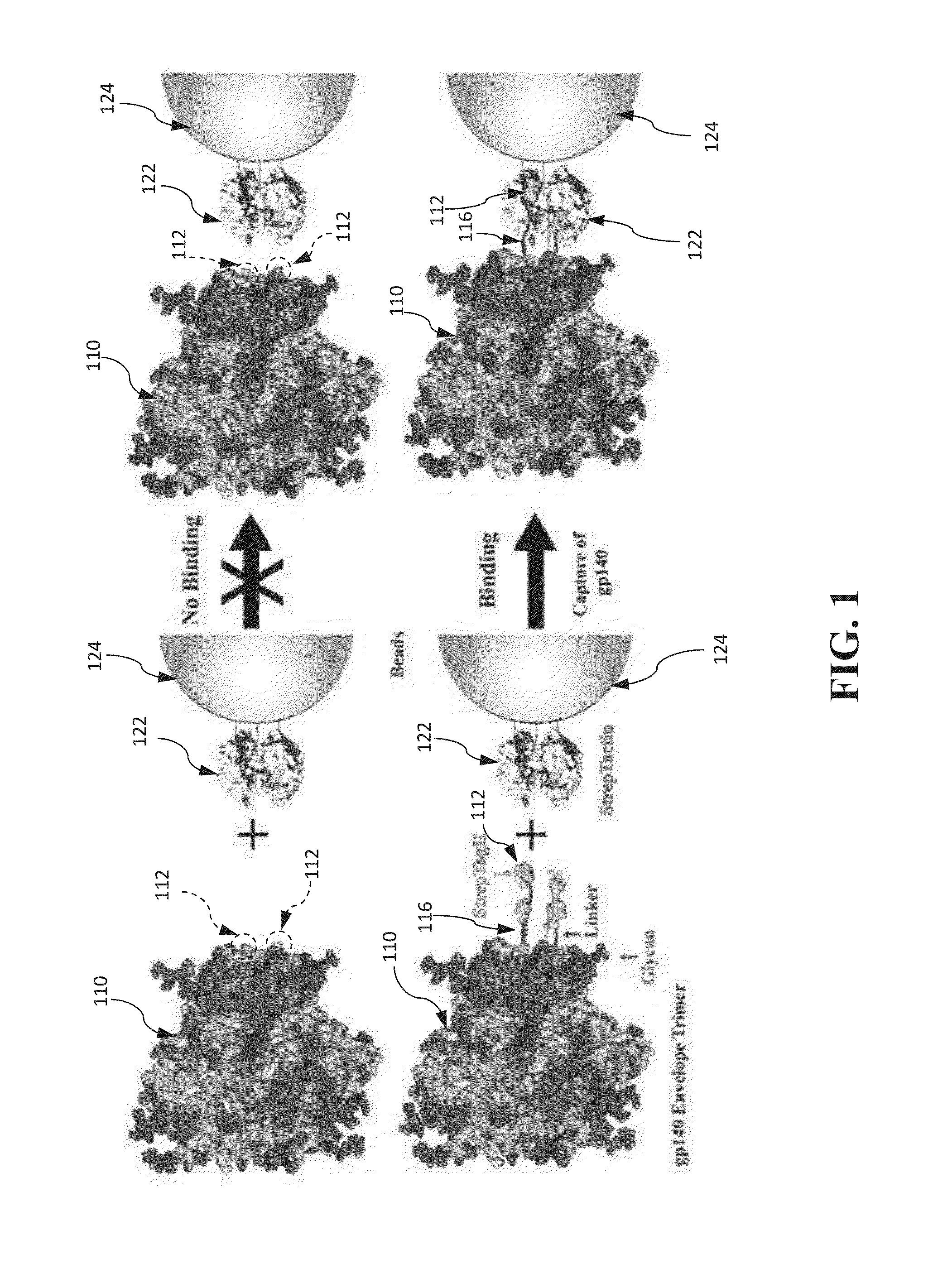 Approach to produce hiv-1 gp140 envelope protein trimers