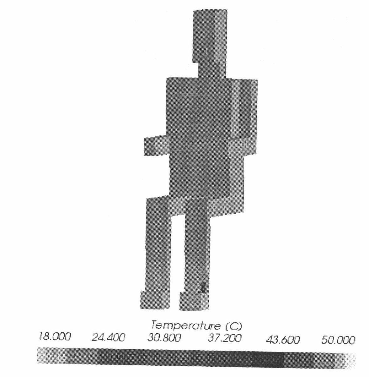 Human body thermal simulation modeling method suitable for complex space environment
