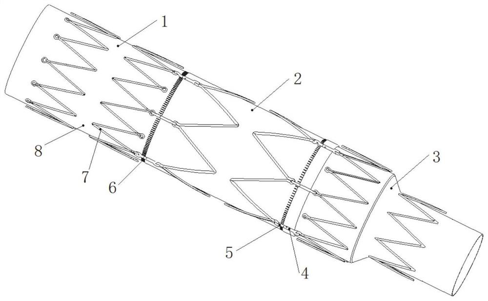An assembled aortic stent system