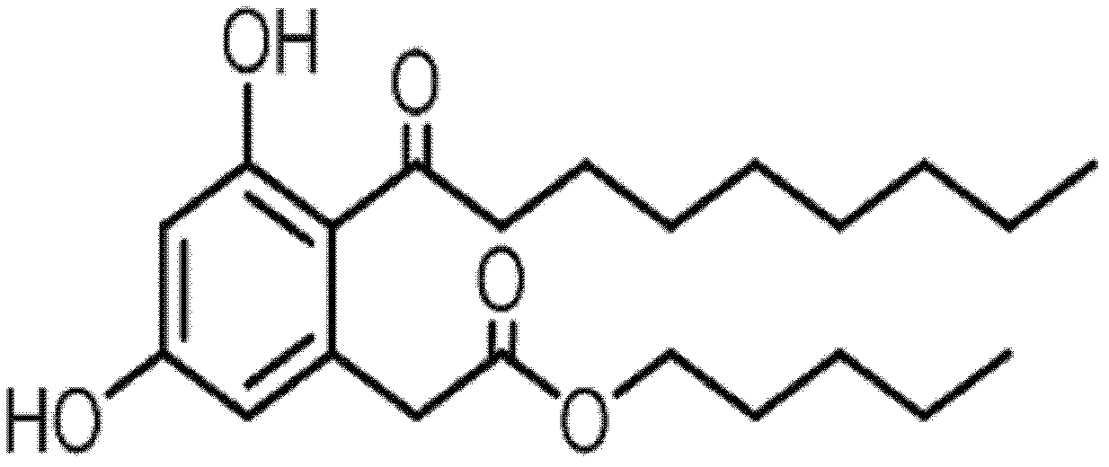 Amoitone B nano crystallization preparation and preparation method thereof