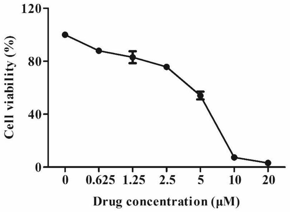 Application of wighteone in preparation of medicine for treating lung cancer
