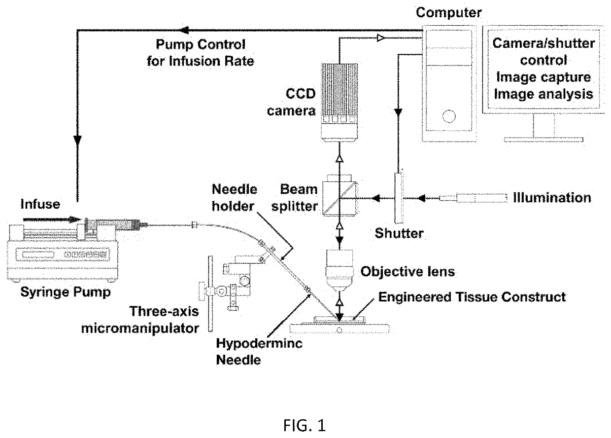 Characterization of injection-induced tissue swelling during subcutaneous injection of biologics