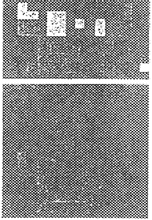 Multiresolutional critical point filter and image matching using the same