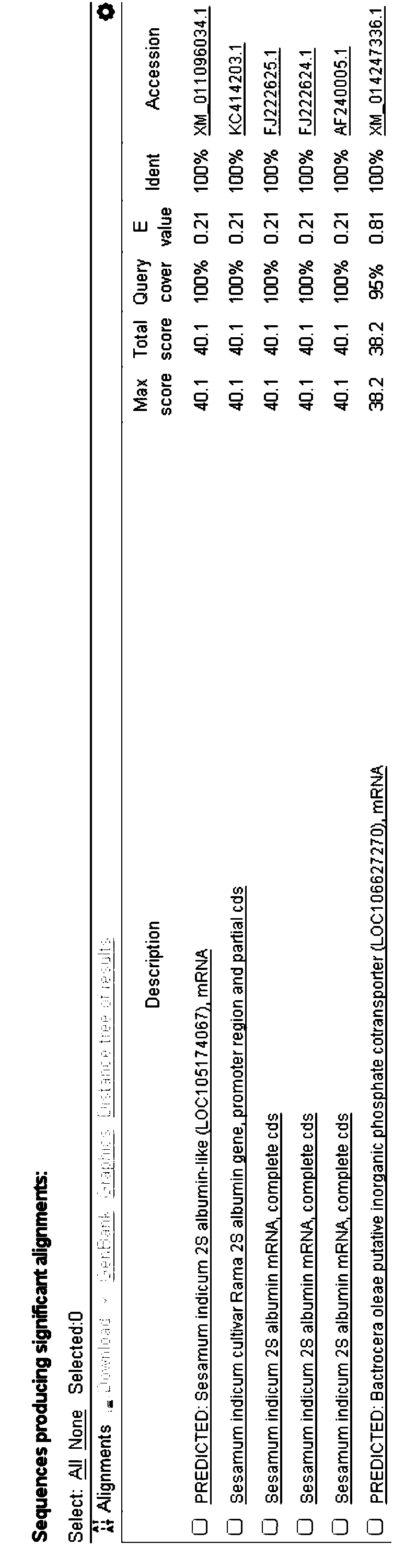 Specific primer and probe for detecting sesame DNA and real-time fluorescent quantitative PCR kit