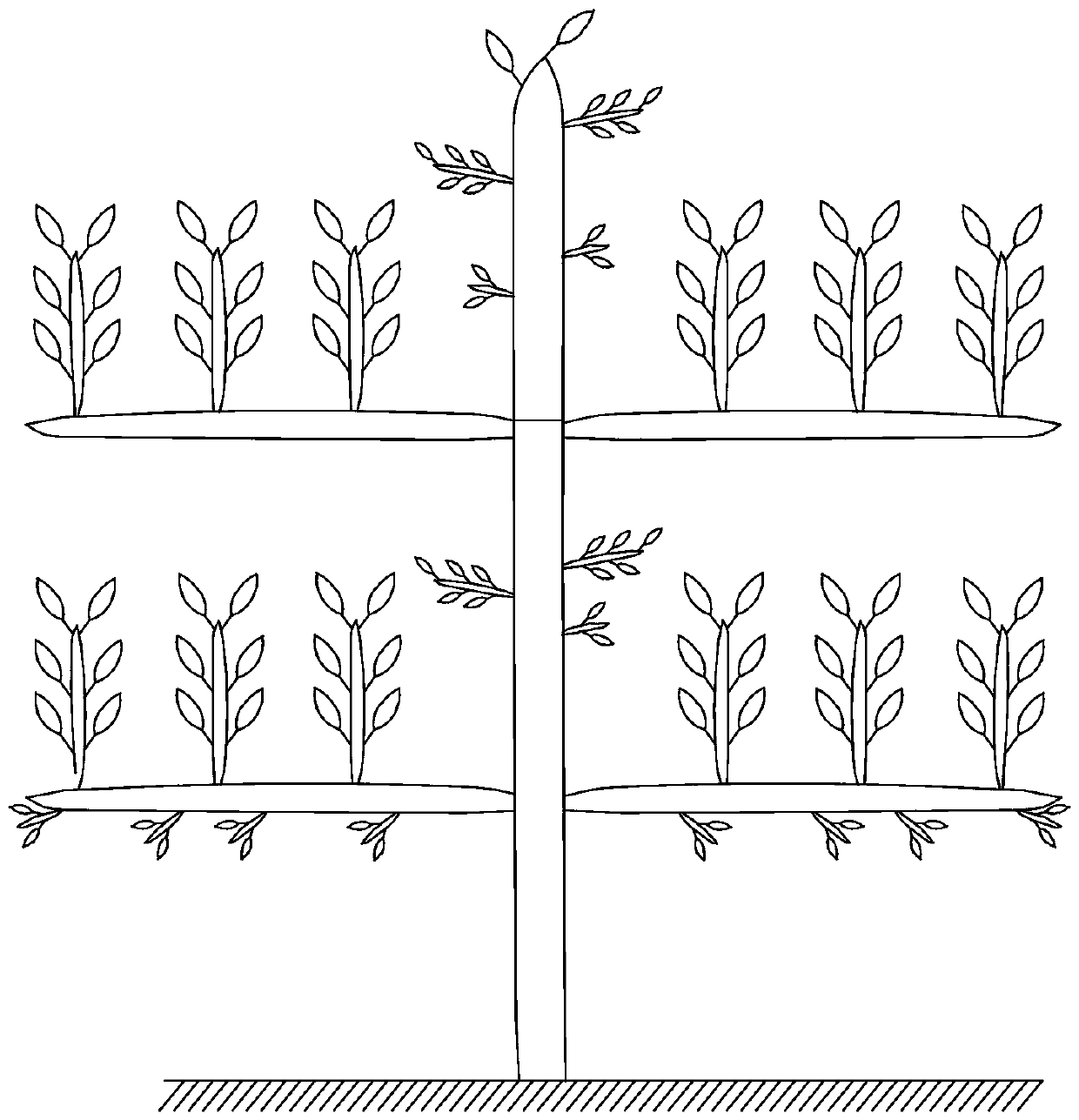 A kind of pear tree "four-arm trellis shape" tree shape and shaping method