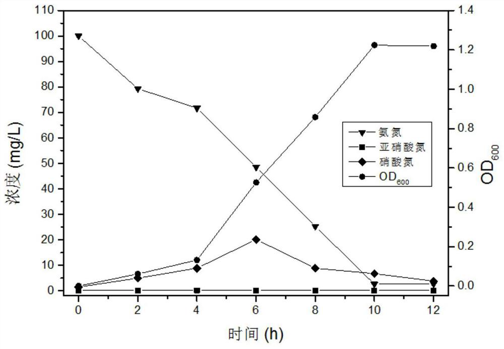 Indigenous high-efficiency denitrification strains of Pseudomonas fulva K3 and Pseudomonas mosselii K17 in soil of rare earth leaching site and application of strains