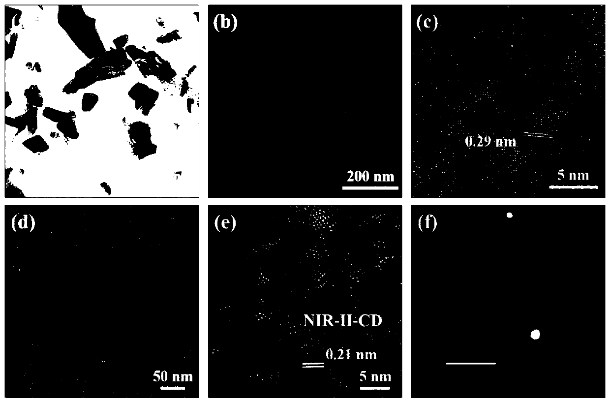 Novel photothermal chemotherapy combined therapeutic reagent and preparation method and application thereof