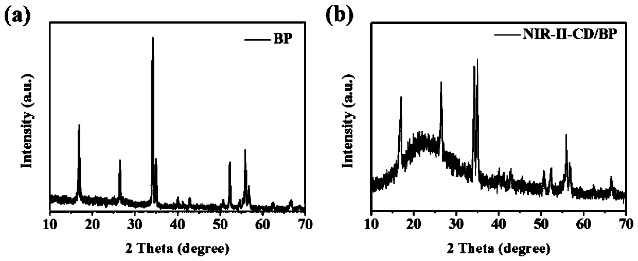 Novel photothermal chemotherapy combined therapeutic reagent and preparation method and application thereof