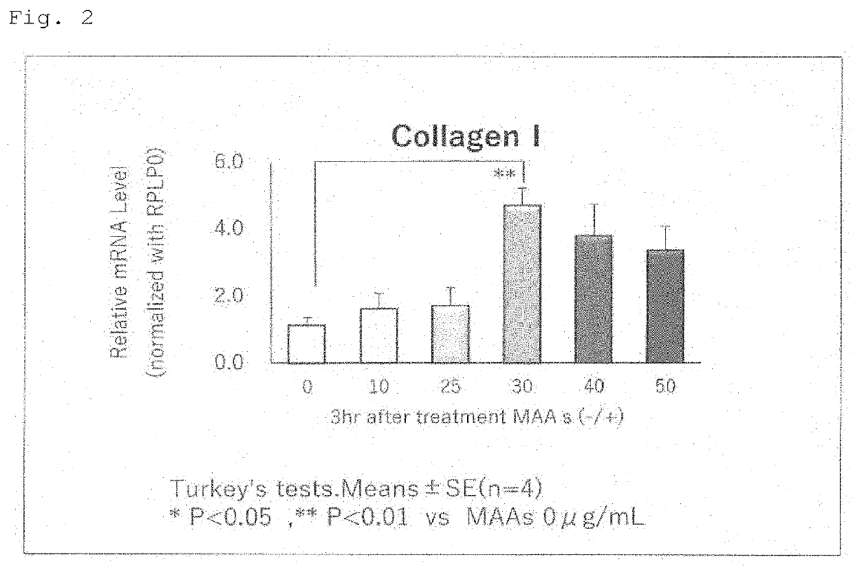 Production promoter of type i collagen or elastin