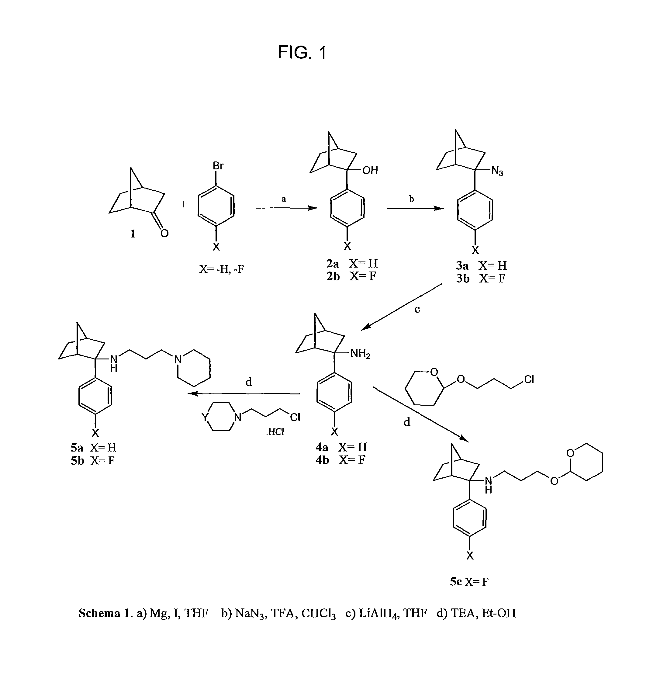 Bicyclo-heptan-2-amines