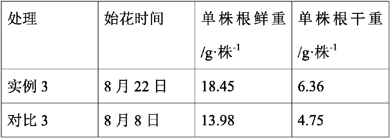 Cultivation management method for improving yield of medicinal platycodon grandiflorum