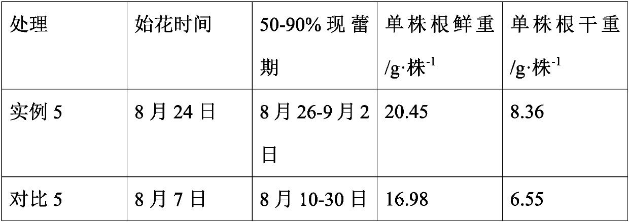 Cultivation management method for improving yield of medicinal platycodon grandiflorum