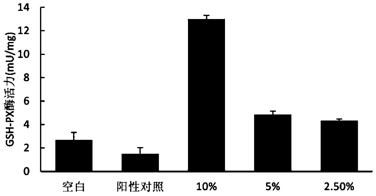 Rice rose fermentation primary pulp and preparation method and application thereof