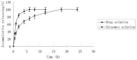 Hydroxylsafflor yellow A vesica and preparation method thereof