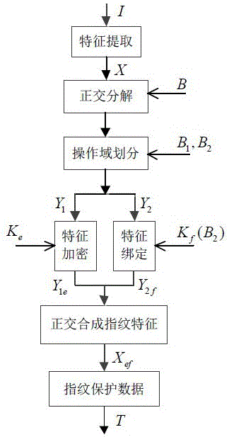 Fingerprint encryption template protection method and system based on orthogonal decomposition