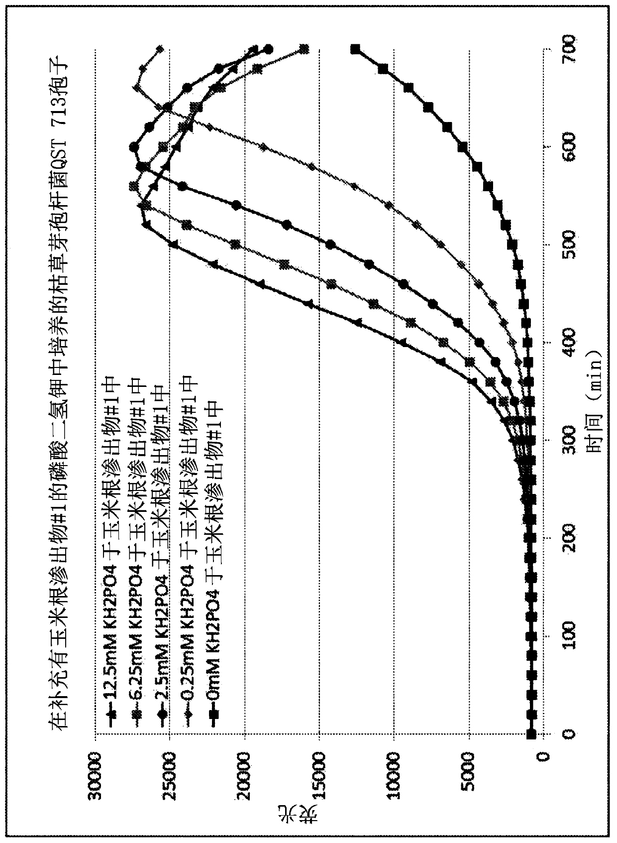 Method of promoting bacillus spore germination