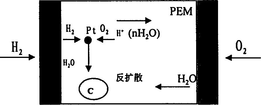 Process for preparing self-humidifying composite proton exchange film for fuel cell