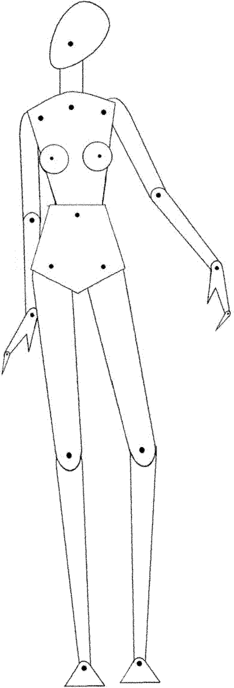 Method for drawing human body dynamic model drawing for clothing design drawing