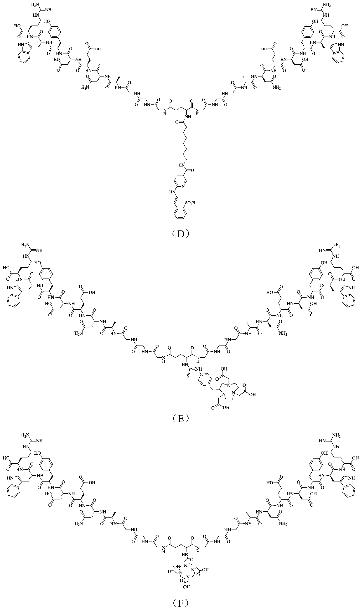 Dar2 polypeptide radioactive drug and preparation method thereof