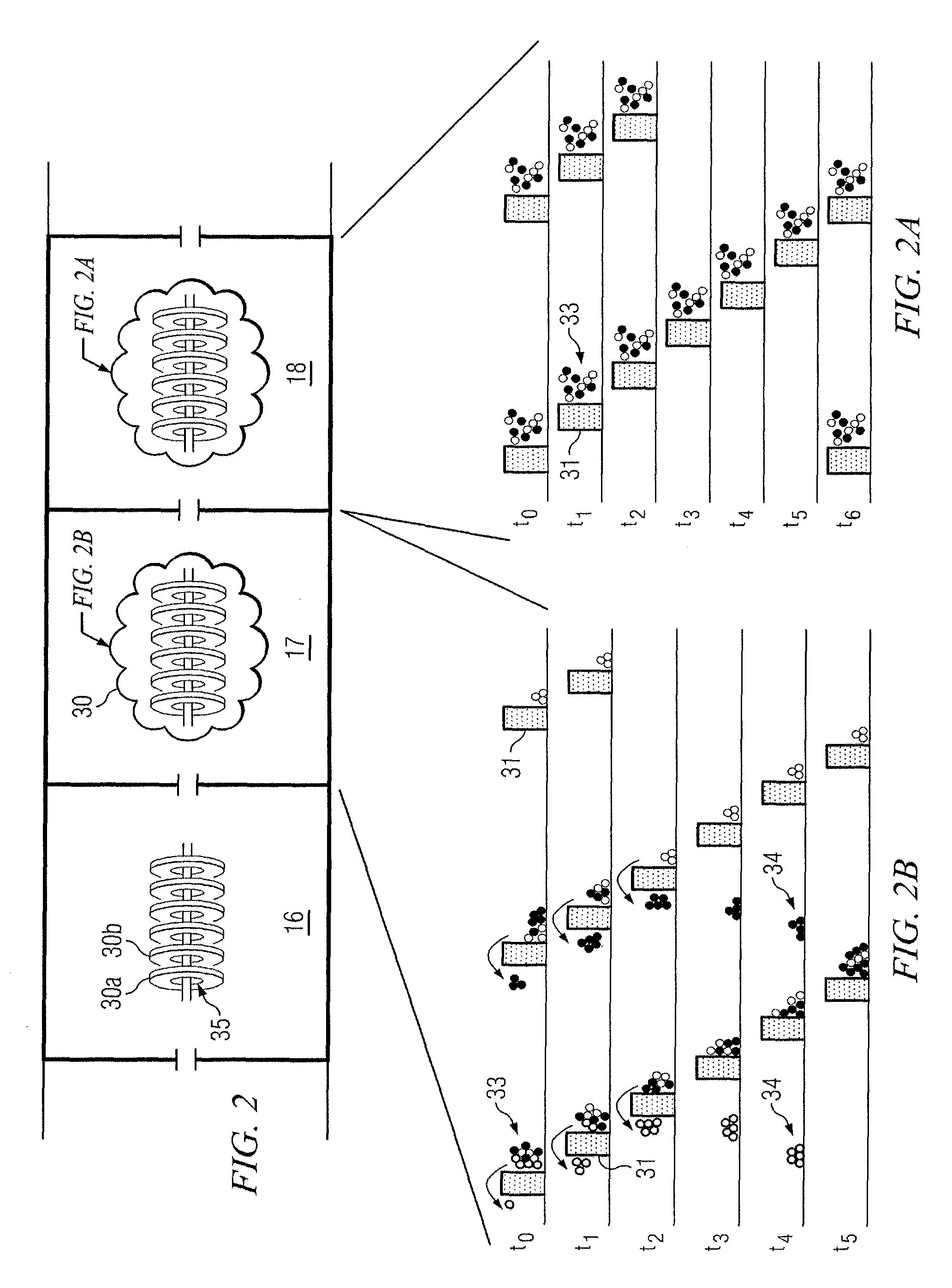 Rapid gas-phase isotopic labeling for enhanced detection of protein conformations