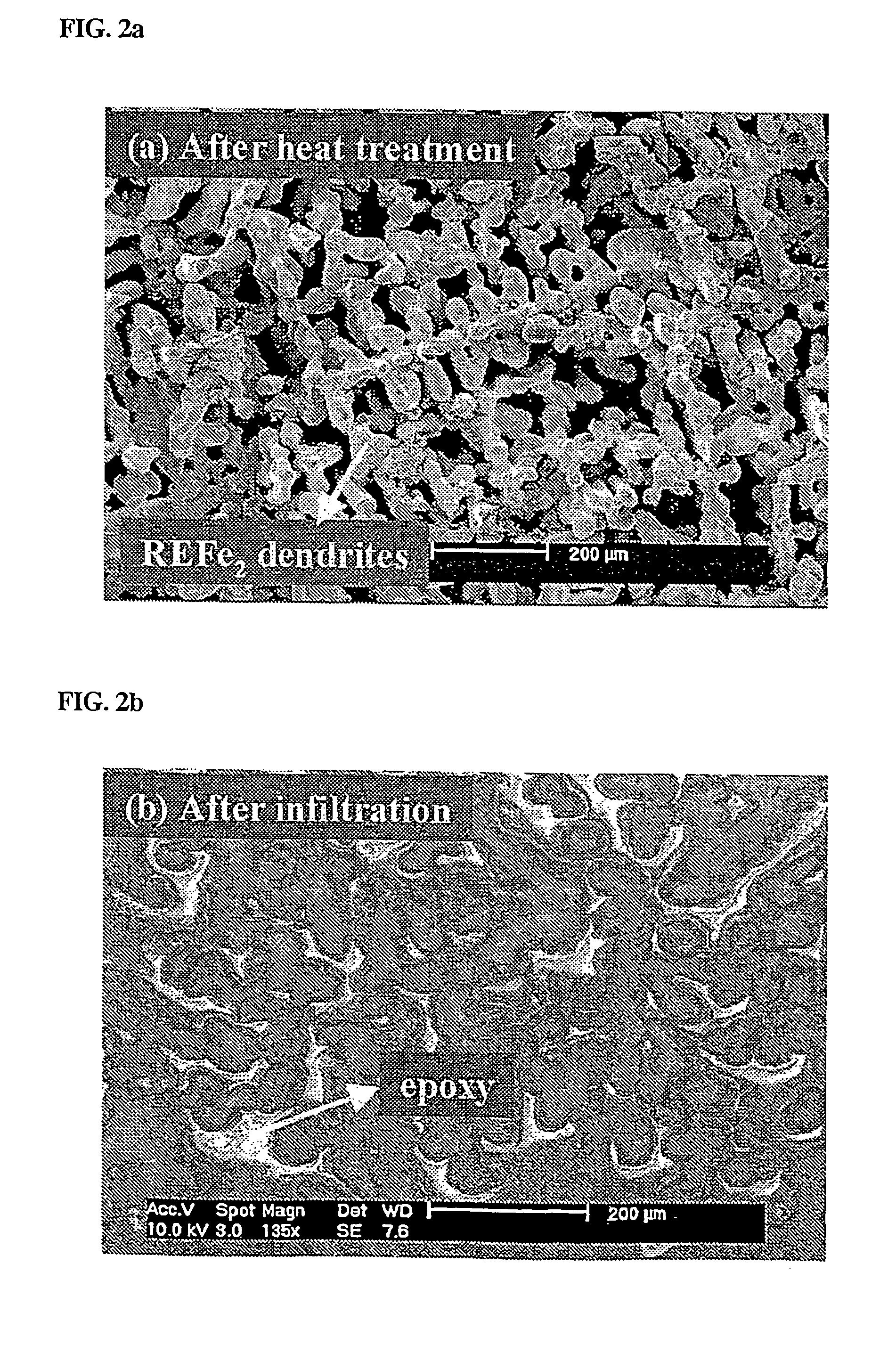 Method of preparing polymer composite using unidirectionally solidified giant magnetostrictive material