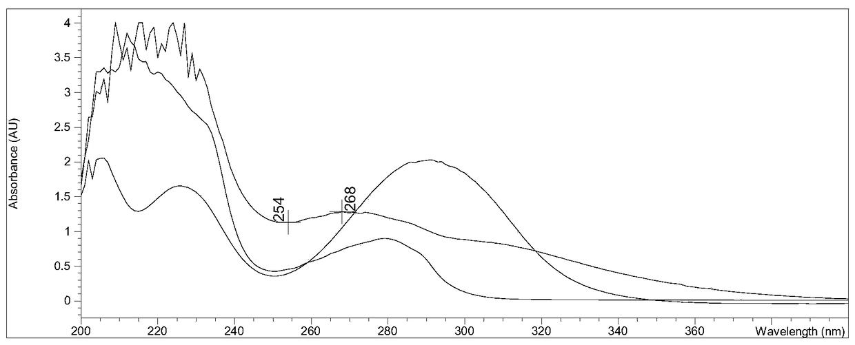 Monoclonal antibody for detecting dibutyl phthalate and cresyl butyl phthalate and application thereof