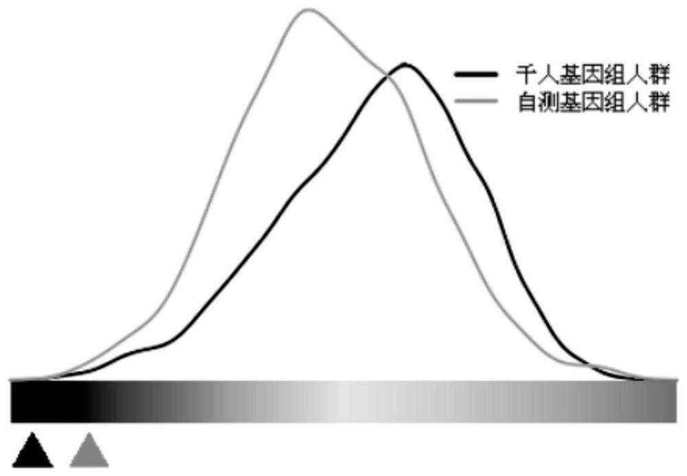 Complex disease-related SNP site primer composition and use thereof