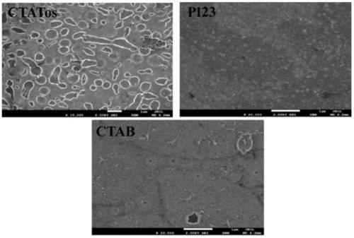 A preparation method of transparent mesoporous titanium dioxide hydrophobic/superhydrophilic functional film