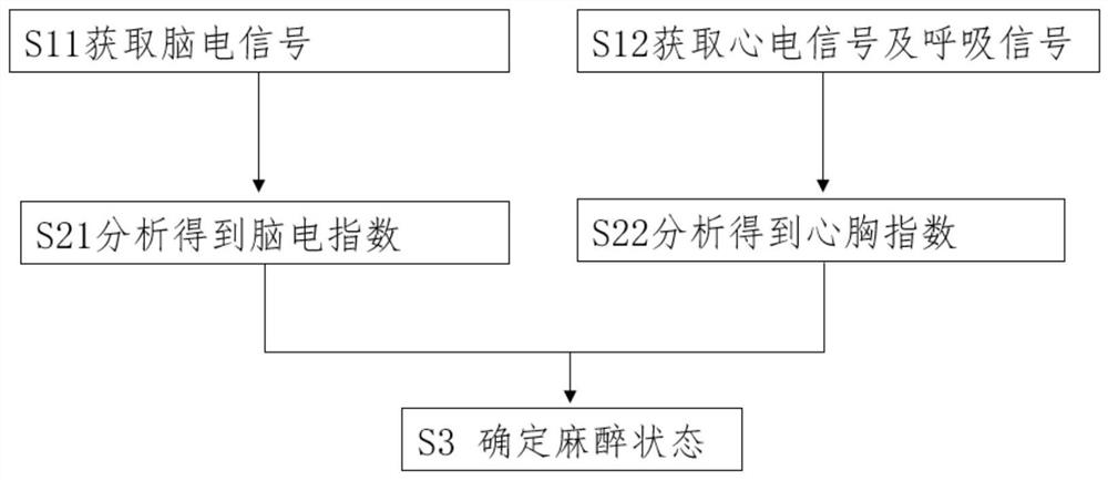 Anesthesia state monitoring method and apparatus