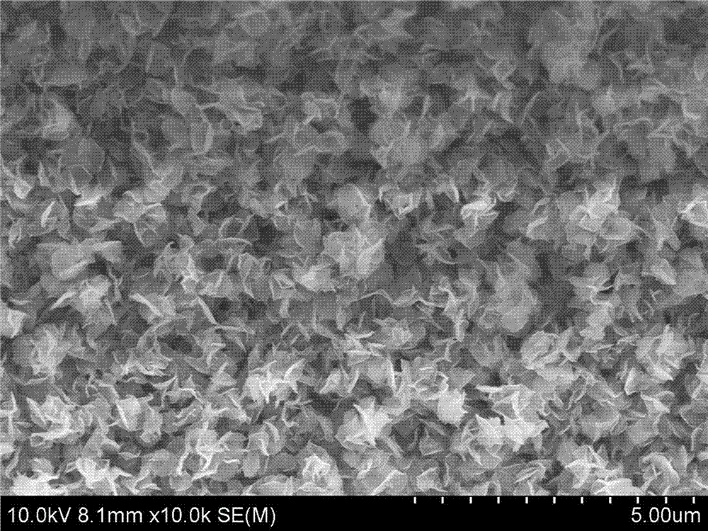 Nickel doped cobaltosic oxide nanometer flower-shaped composite material, preparation method and application thereof