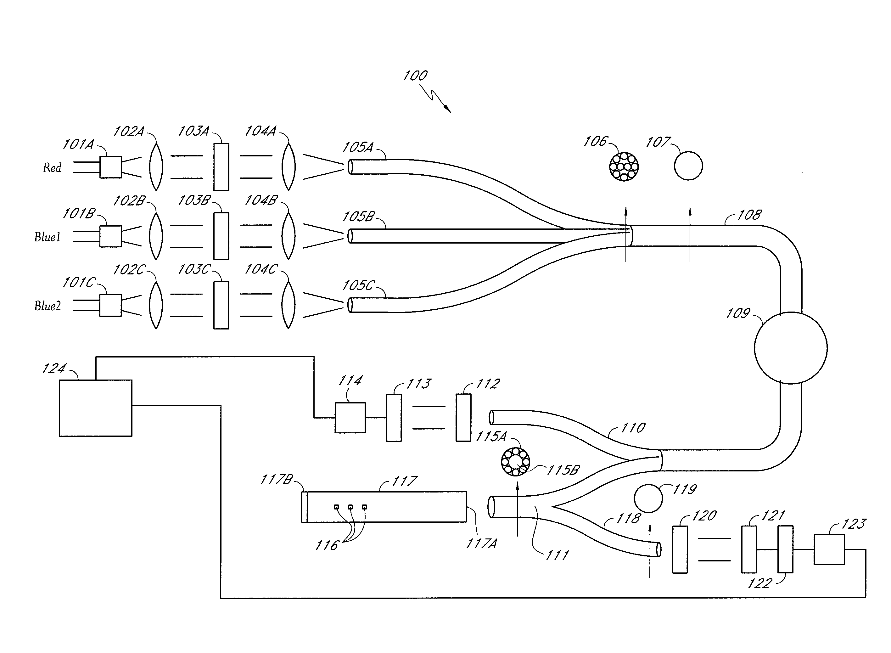 Optical systems and methods for ratiometric measurement of blood glucose concentration