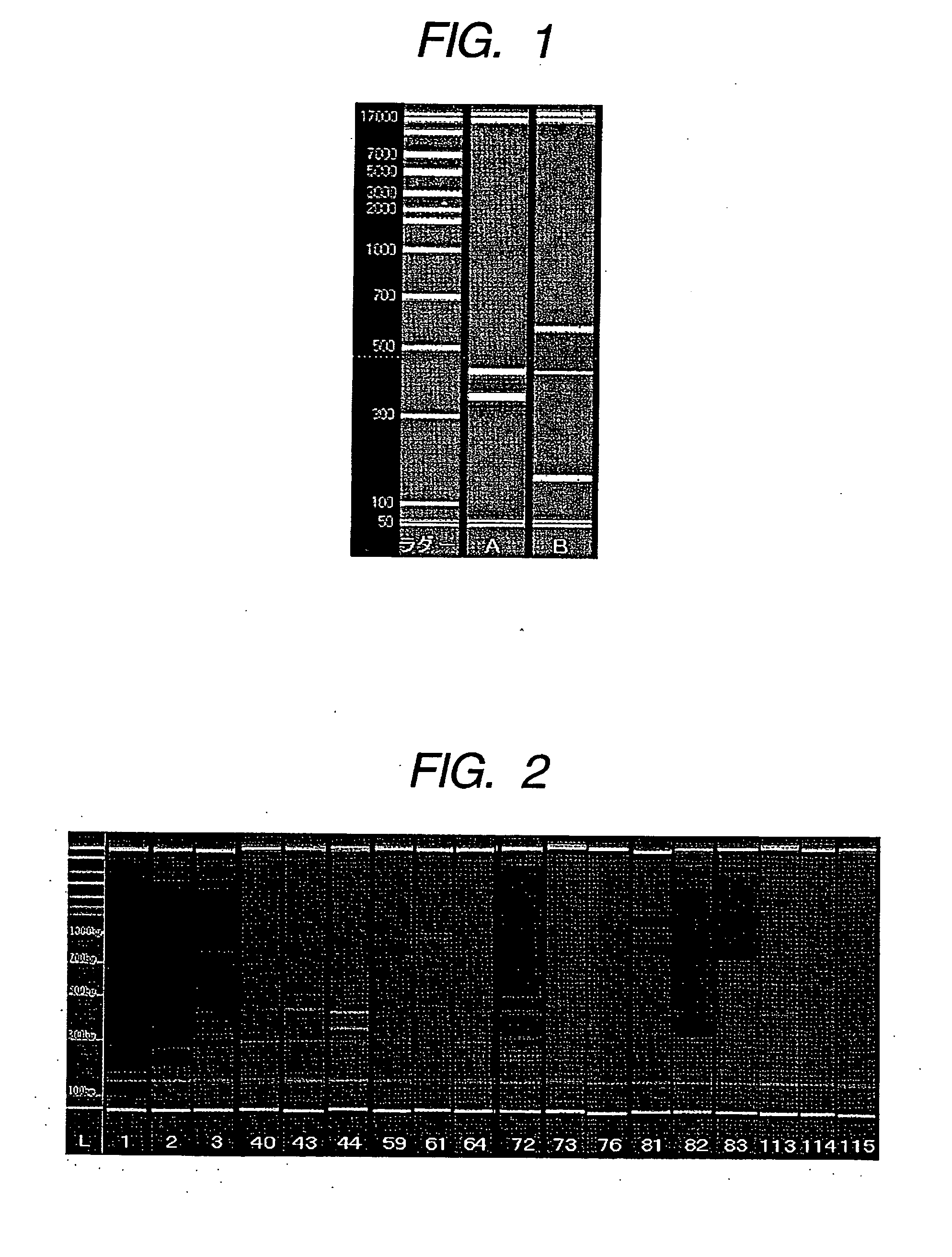 Probe, probe set and information acquisition method using the same