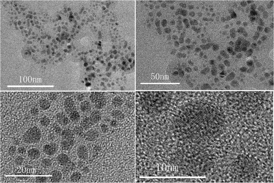 Catalyst for preparing 1,4-cyclohexanedicarboxylic acid through selective hydrogenation of terephthalic acid, preparation method and use method thereof