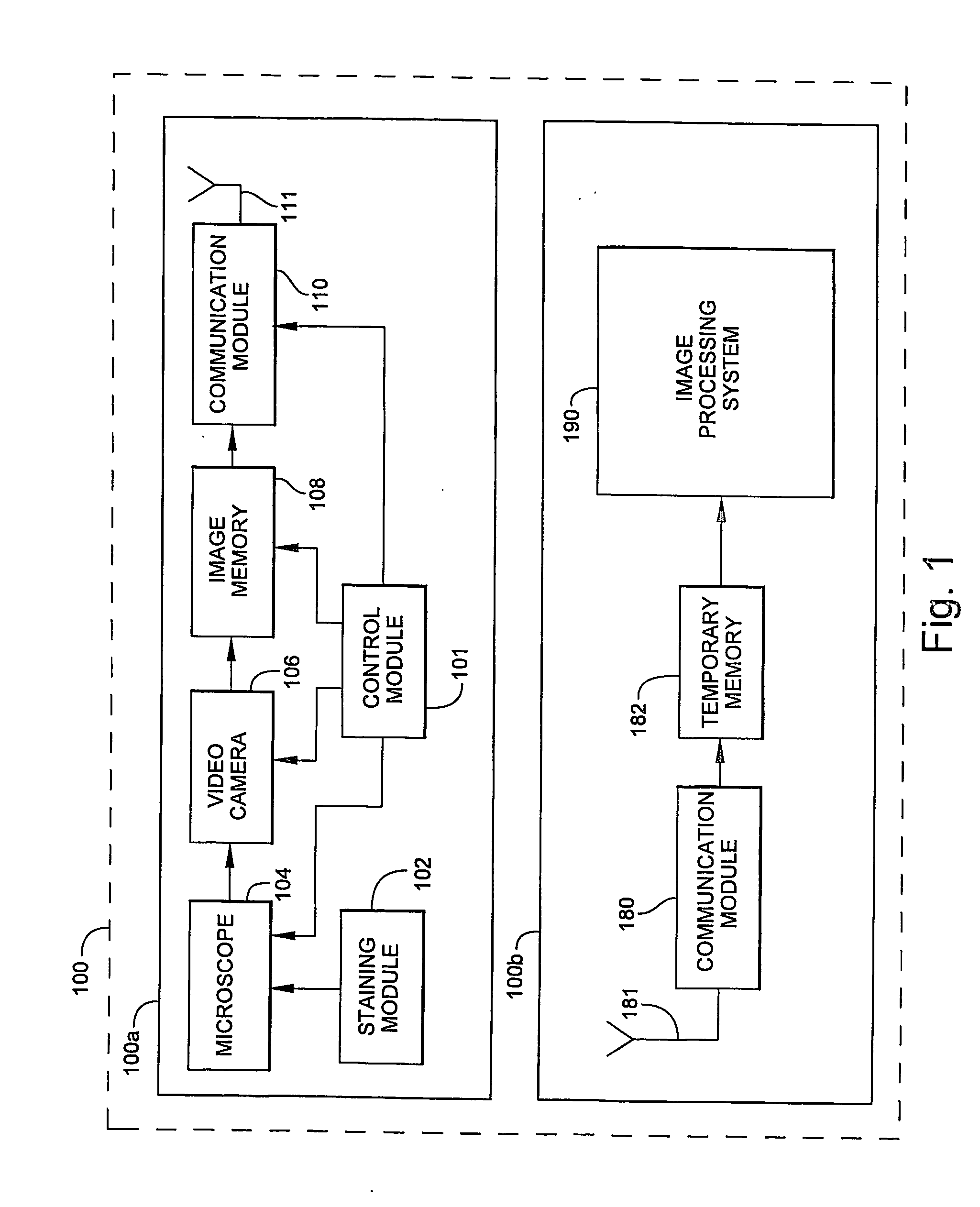 System and method for rapidly identifying pathogens, bacteria and abnormal cells