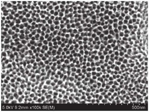 An integrated surface treatment method of titanium metal and plastic and its composite product