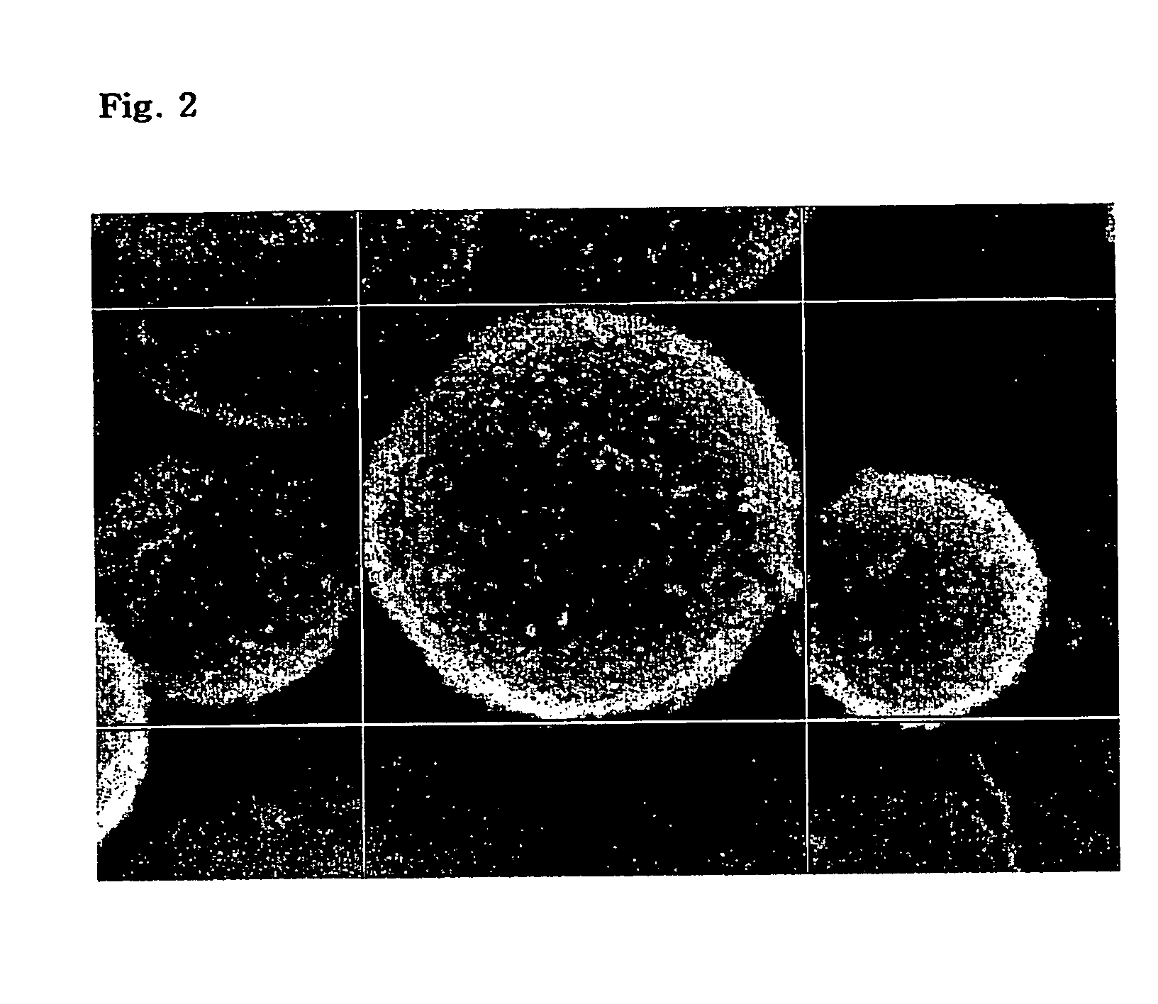 Synthetic fiber containing powders with the shape of hollow sphere