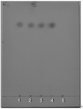 Thin-layer chromatography identification method of Shenan capsule