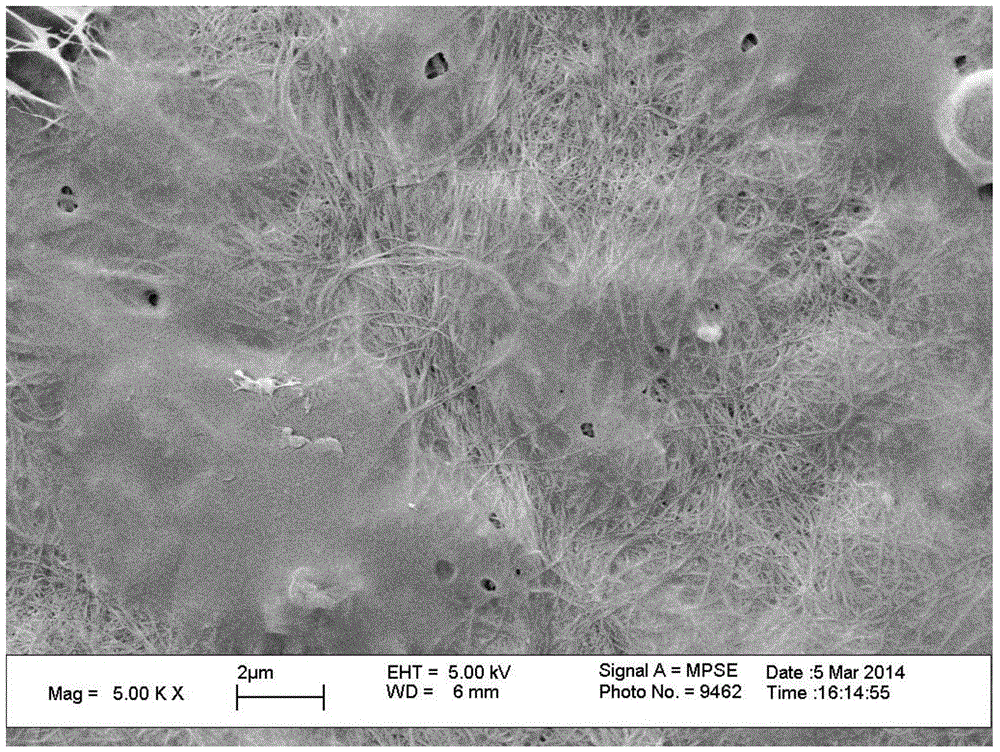 Preparation method of controllable hydrophobic bacterial cellulose-zein composite film