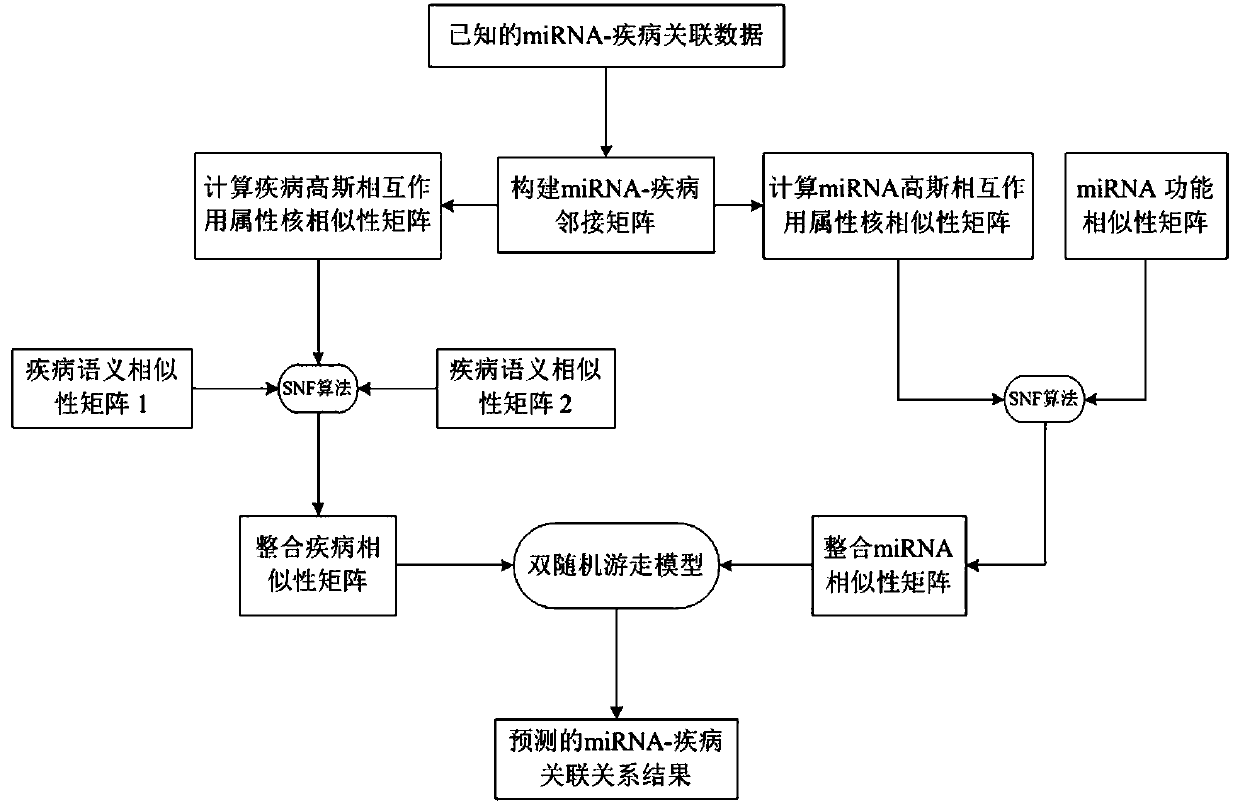 MiRNA-disease association predicting method based on double random walk models