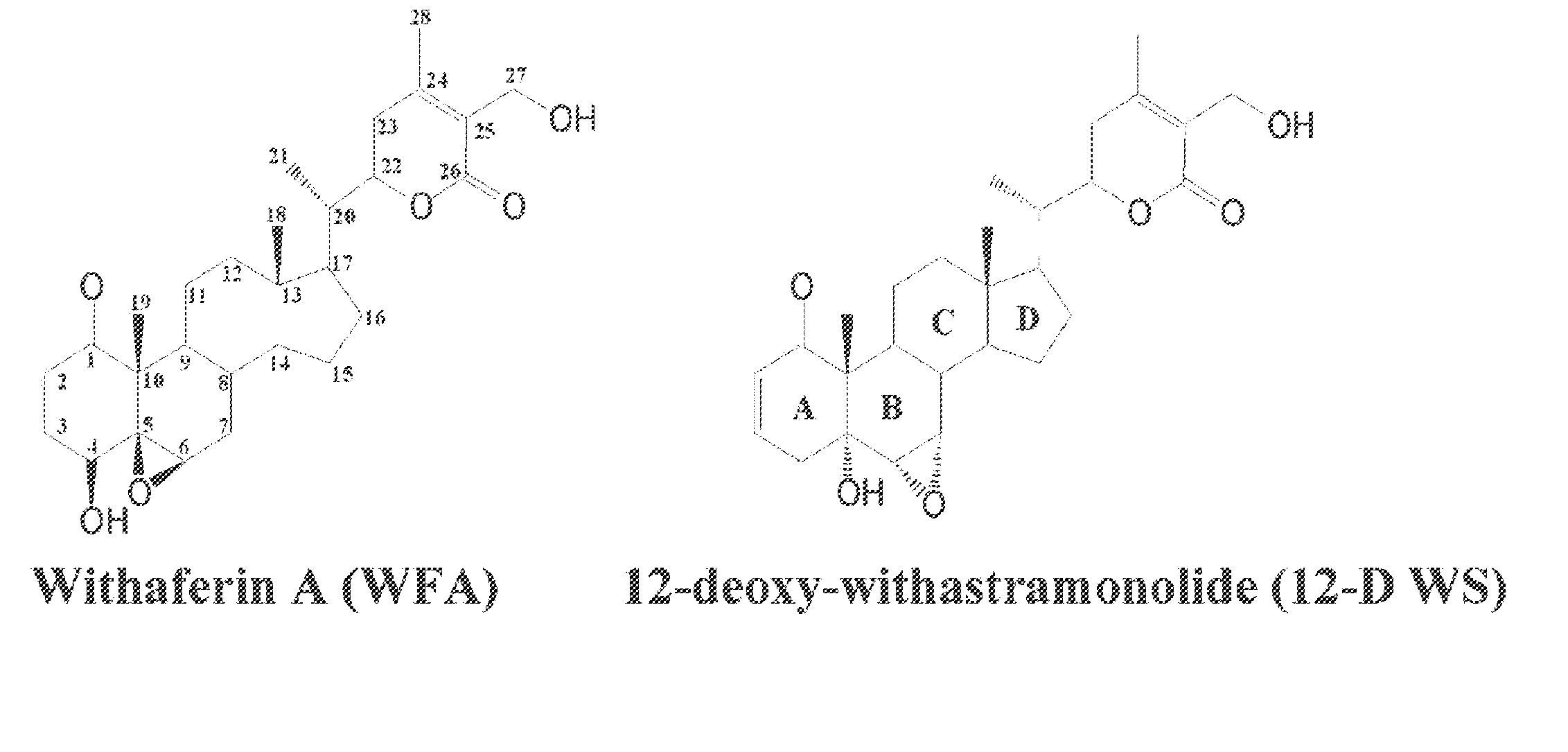 Withanolides, probes and binding targets and methods of use thereof