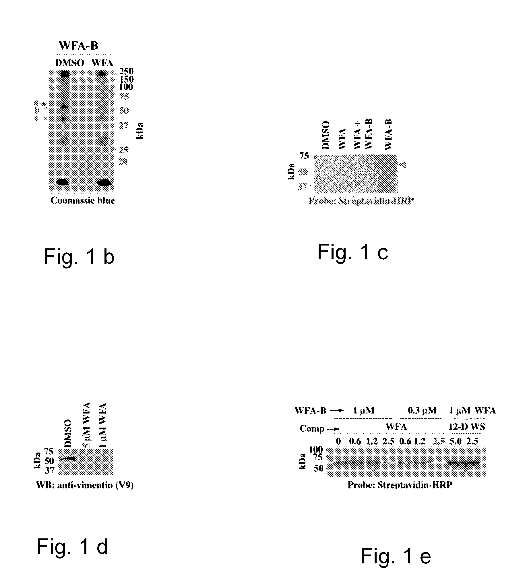 Withanolides, probes and binding targets and methods of use thereof