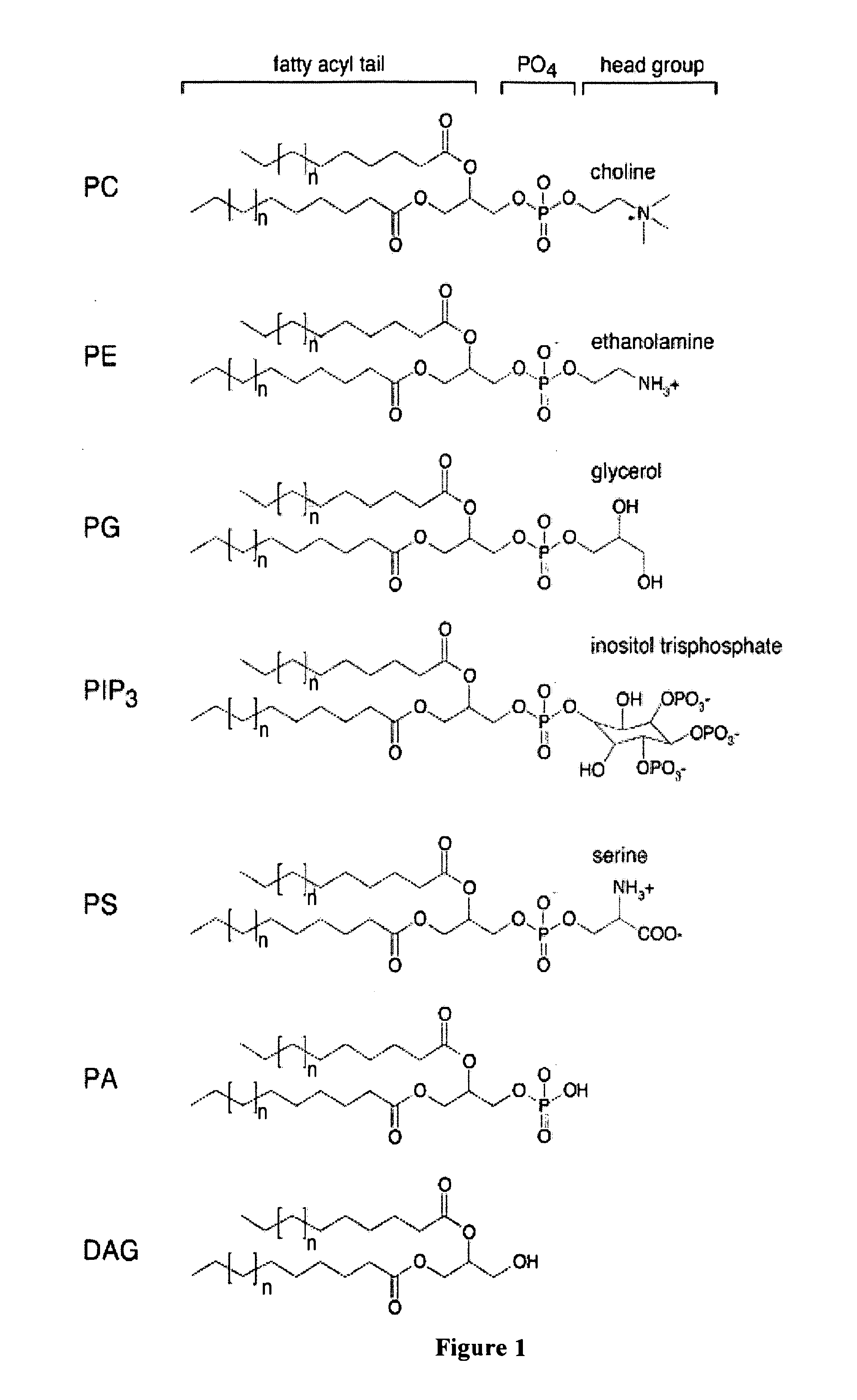 Phospholipid compositions and uses thereof