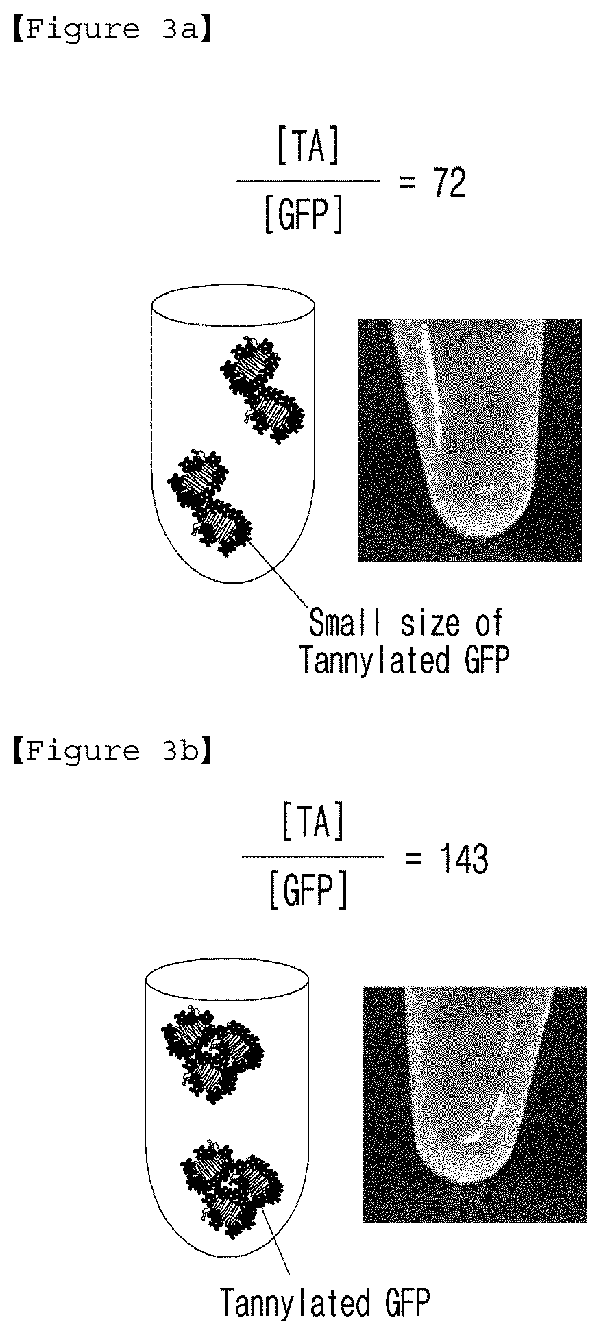 Agent for targeting heart comprising tannic acid