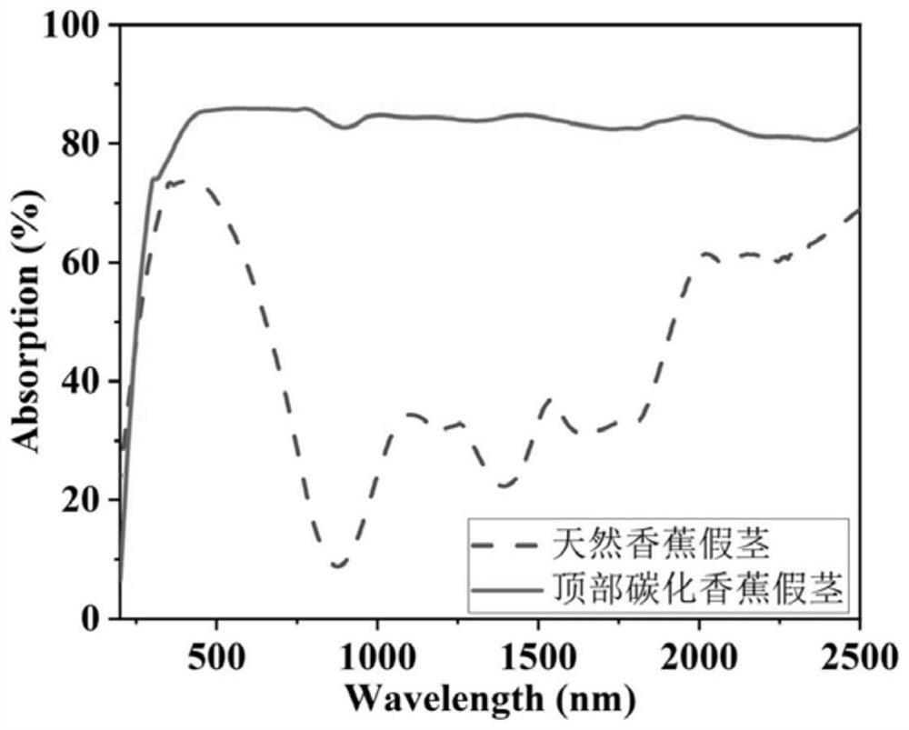 Plant bionic high-concentration-salt-resistant solar evaporator device and preparation method and application thereof