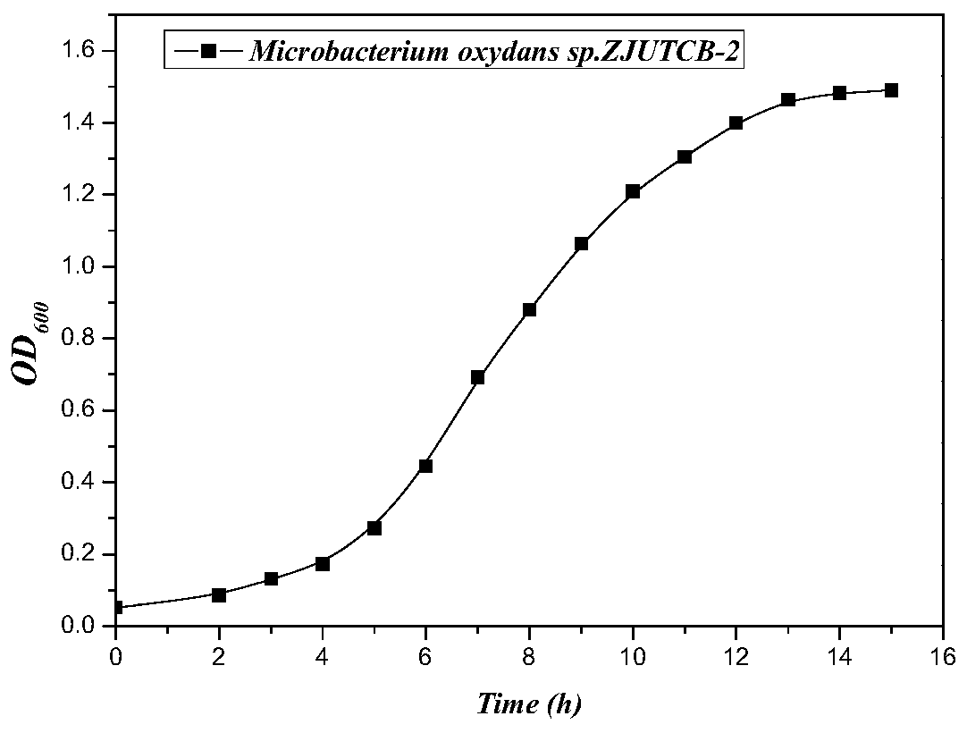 Microbacterium oxydans and application thereof in degrading organic pollutants