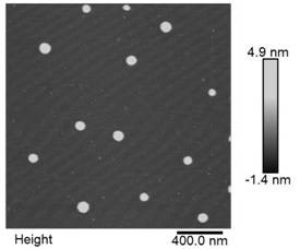 DNA nanosphere detection probe as well as preparation method and application thereof