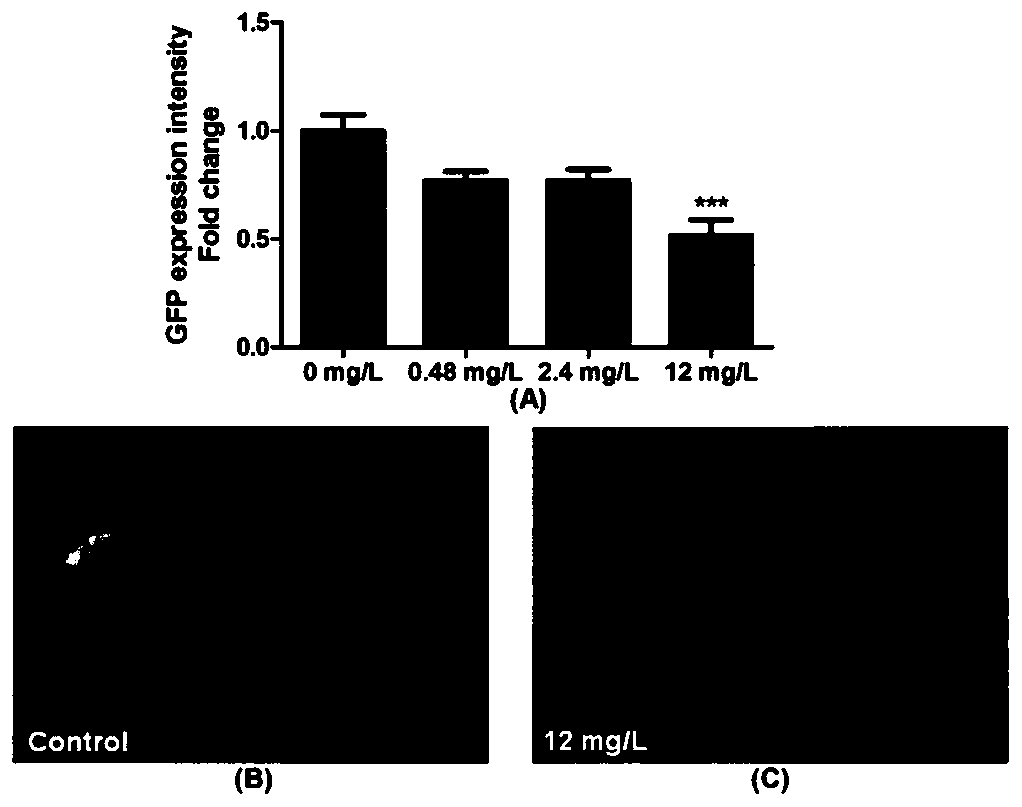 A method for evaluating neurodevelopmental toxicity of perfluorinated compounds using zebrafish