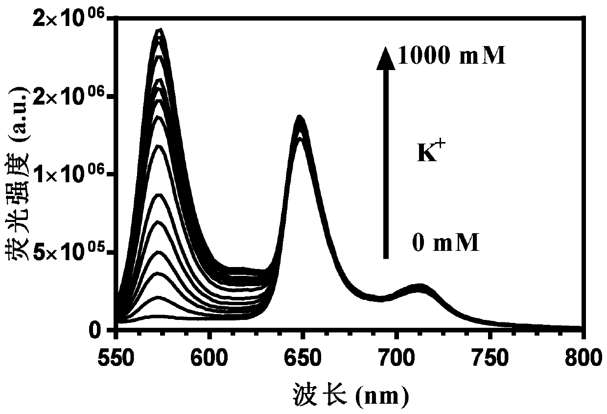 Macromolecular potassium ion fluorescent probe as well as preparation method and application thereof